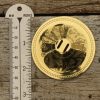 Nefertiti Pro - Brass - Image 3